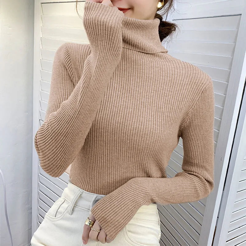 Heliar Women Fall Turtleneck Sweater